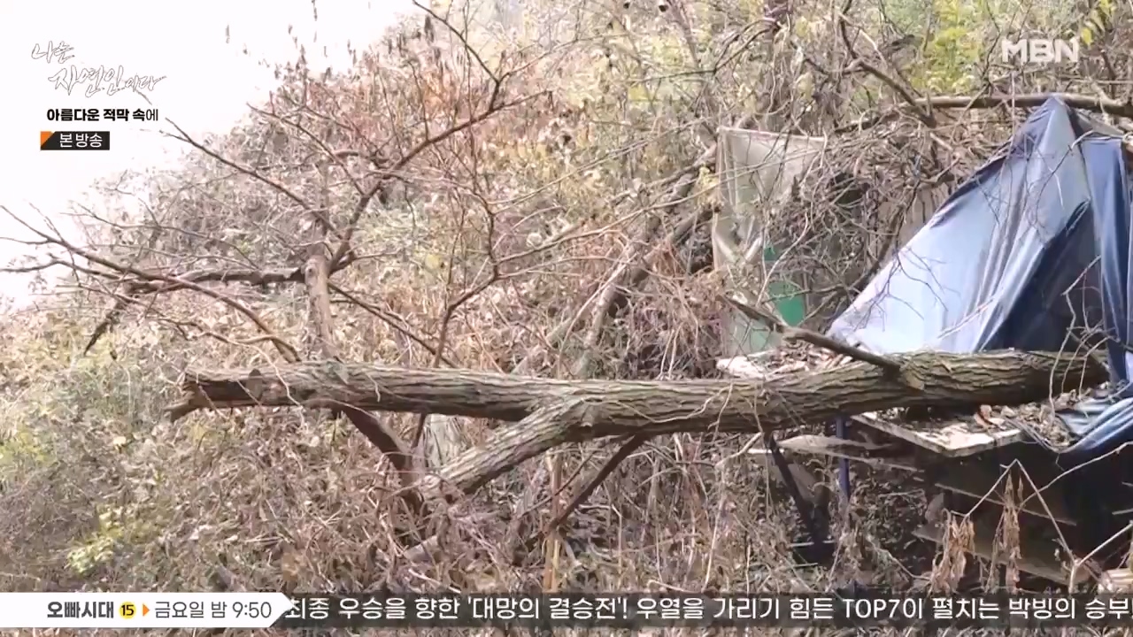 나는 자연인이다.E583.231207p-NEXT.mp4_20231207_195345.012.jpg