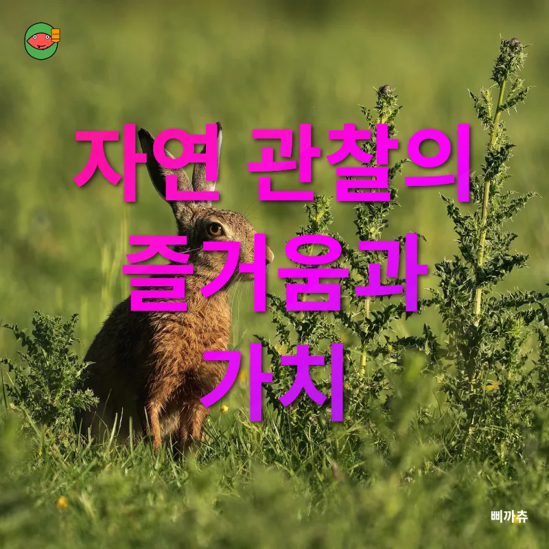자연관찰_1
