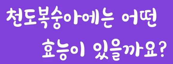 천도복숭아에는 어떤 효능이 있을까요?