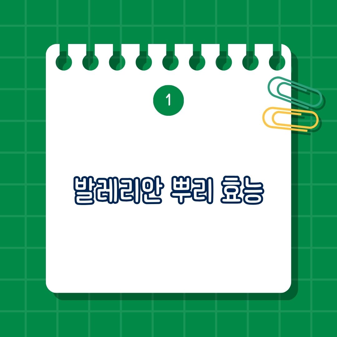 발레리안 뿌리(Valerian Root)의 효능은 불면증 개선, 수면 개선, 스트레스 및 불안 감소, 두통 및 편두통 완화, 심혈관 건강 증진, 근육 이완 및 생리통 완화