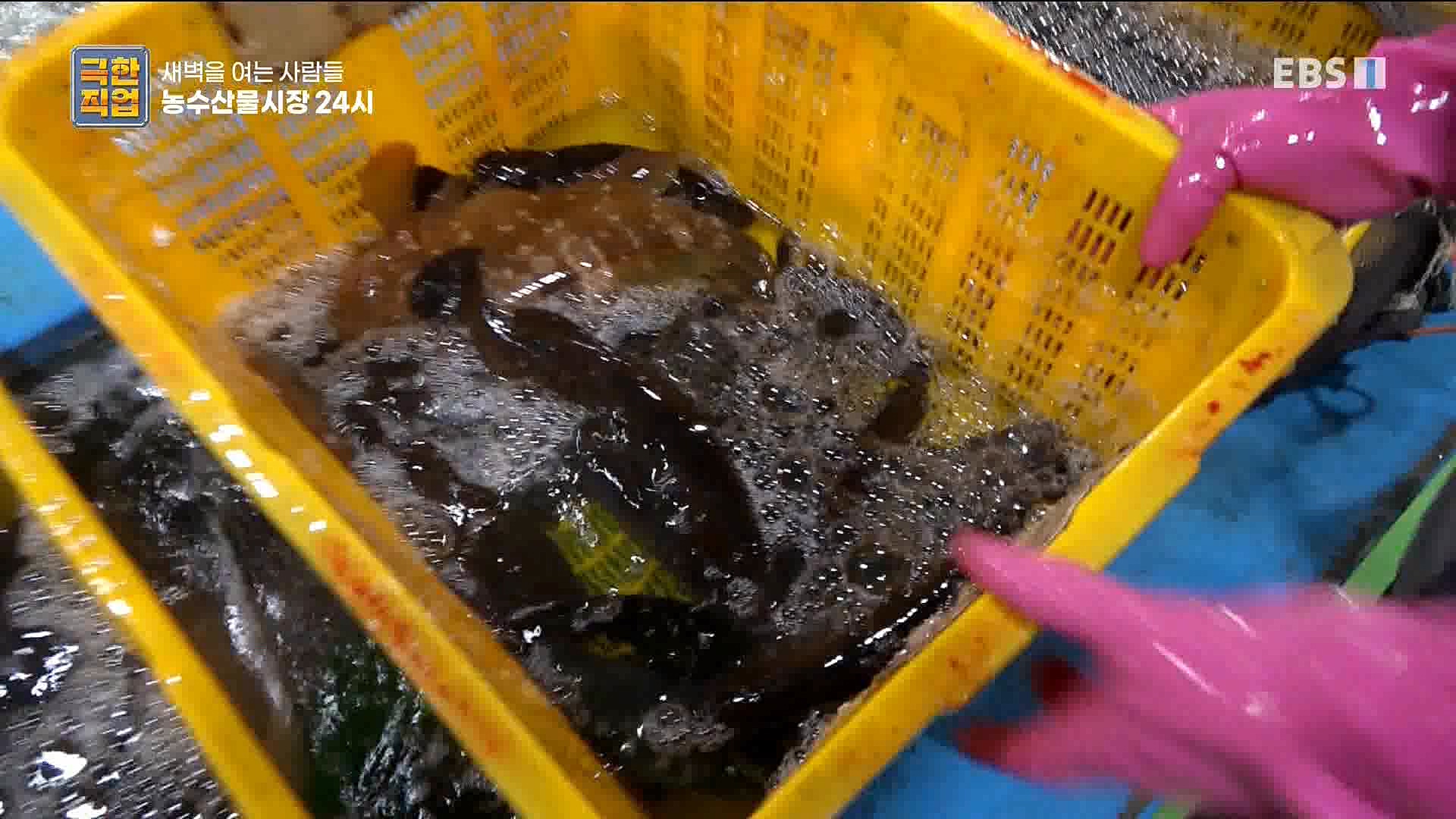 농수산물 시장 24시.mp4_20221020_161645.192.jpg