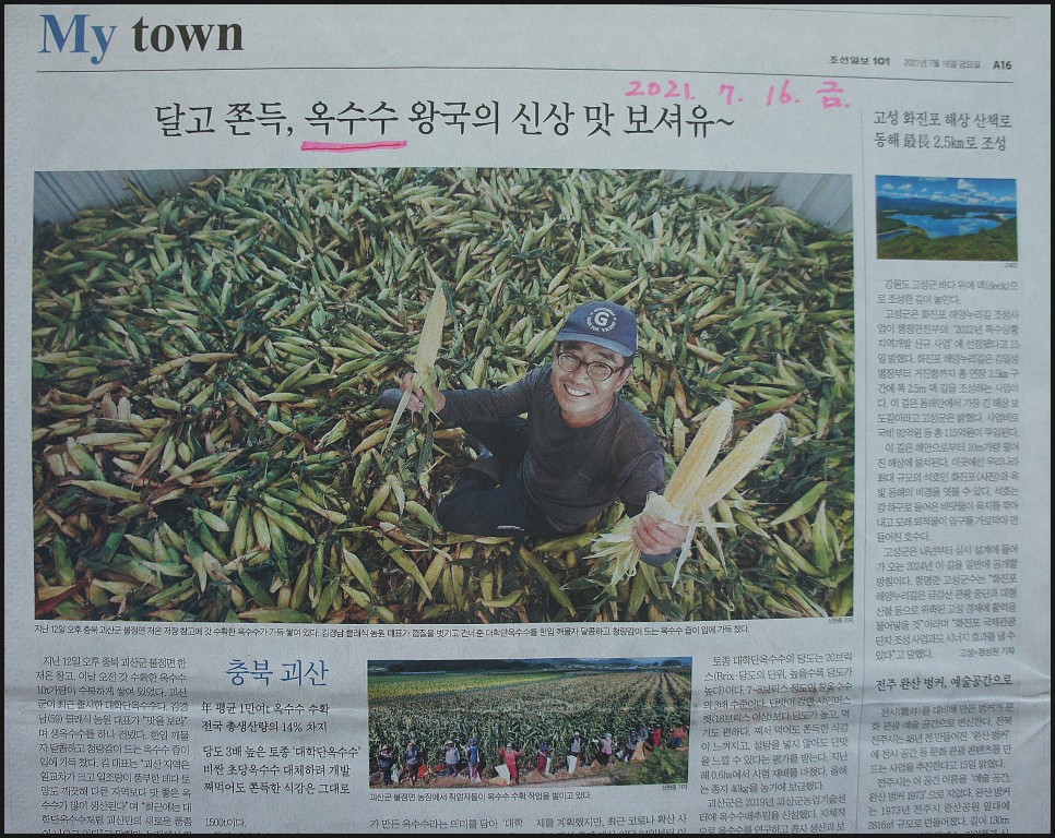 옥수수와 옥수수 가루 추억 // 손자에게 보내는 편지 (제375호) 36