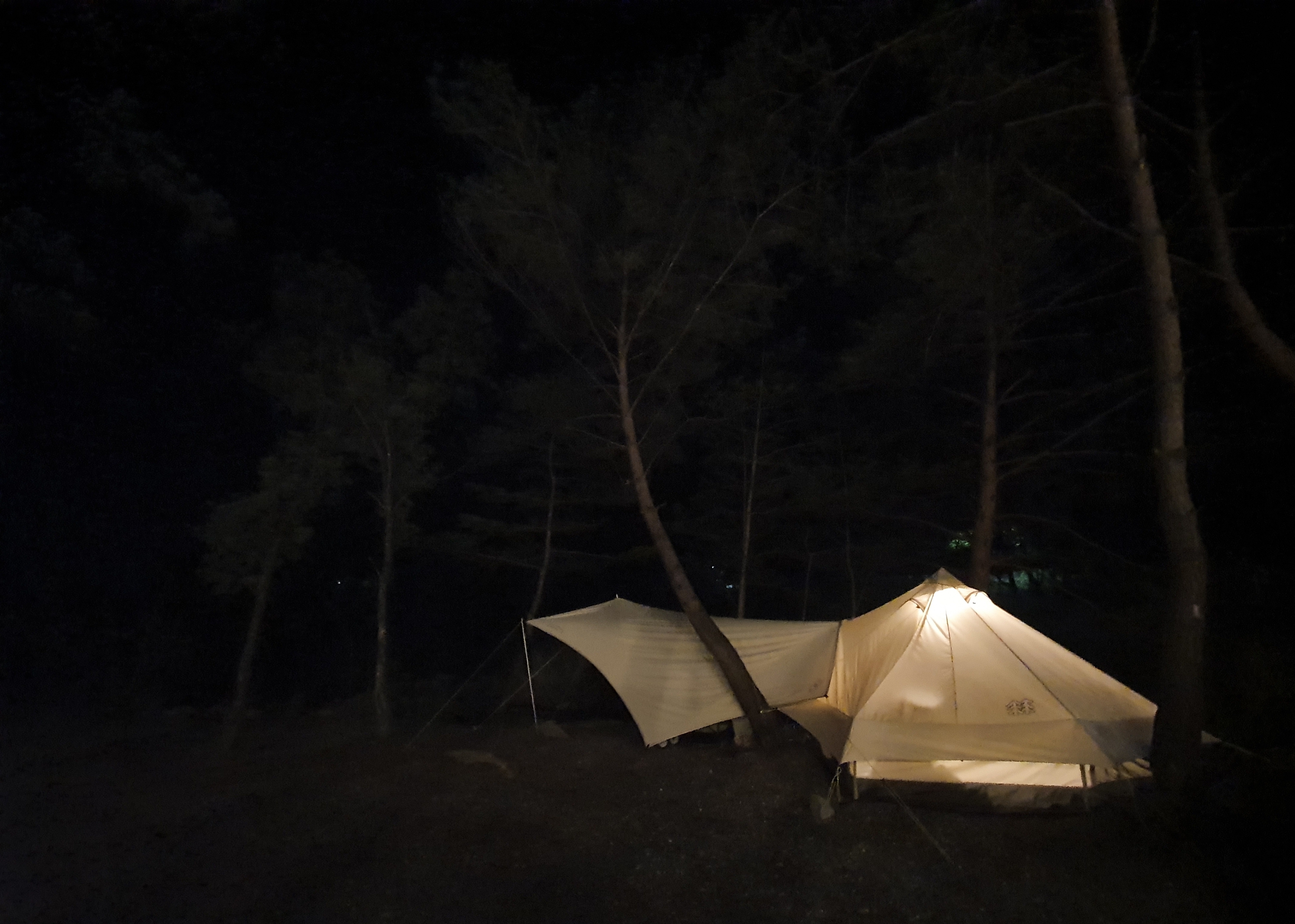 영월 파라다이스 캠프의 밤