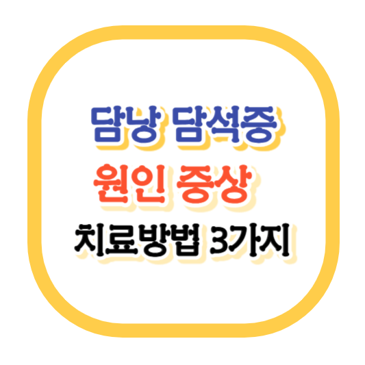 담낭-결석-담석증-원인-증상-치료방법