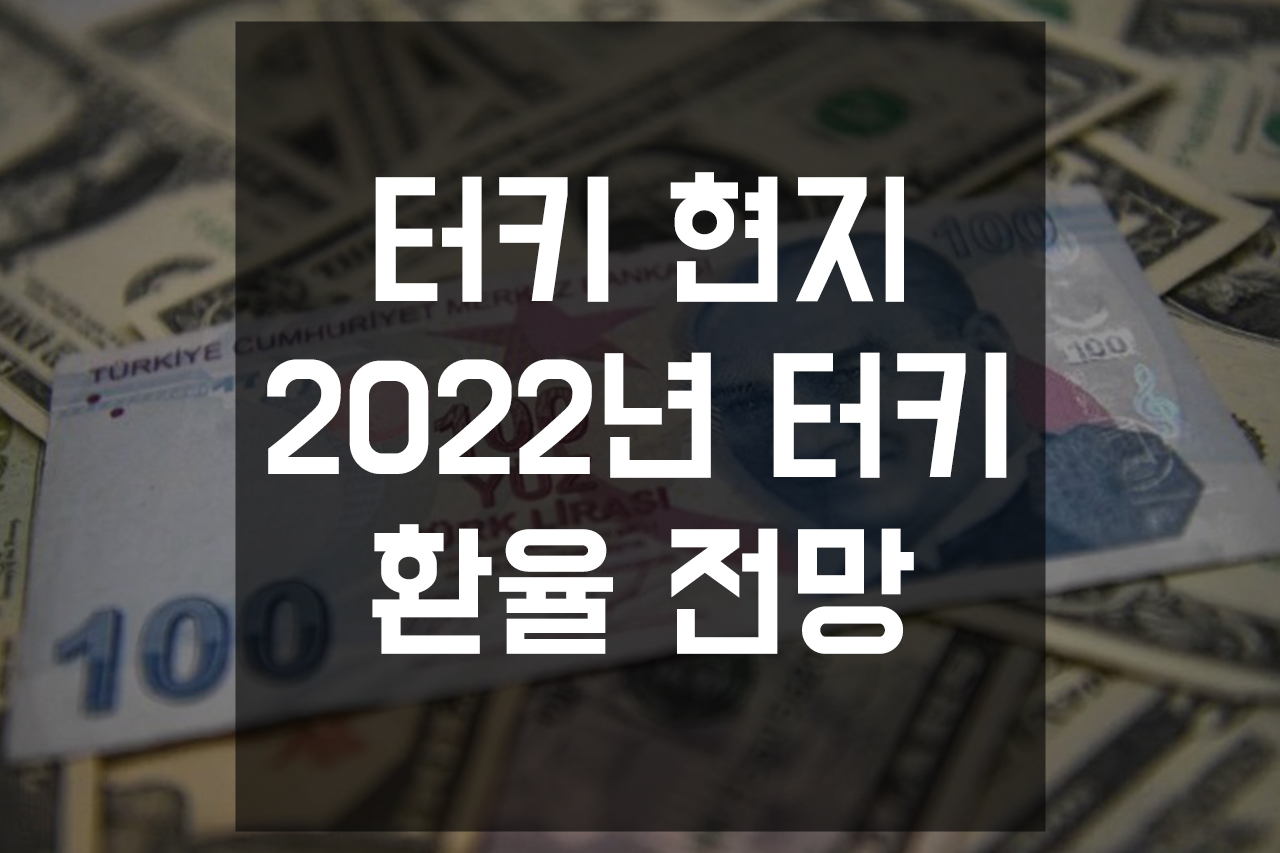  2022년 터키 금리 앞으로의 전망 (feat. 터키현지의 반응과 대응)