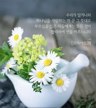 로마서 8장 해석 문구 생명 성령_13