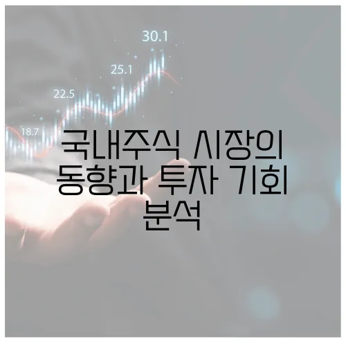 국내주식 시장의 동향과 투자 기회 분석