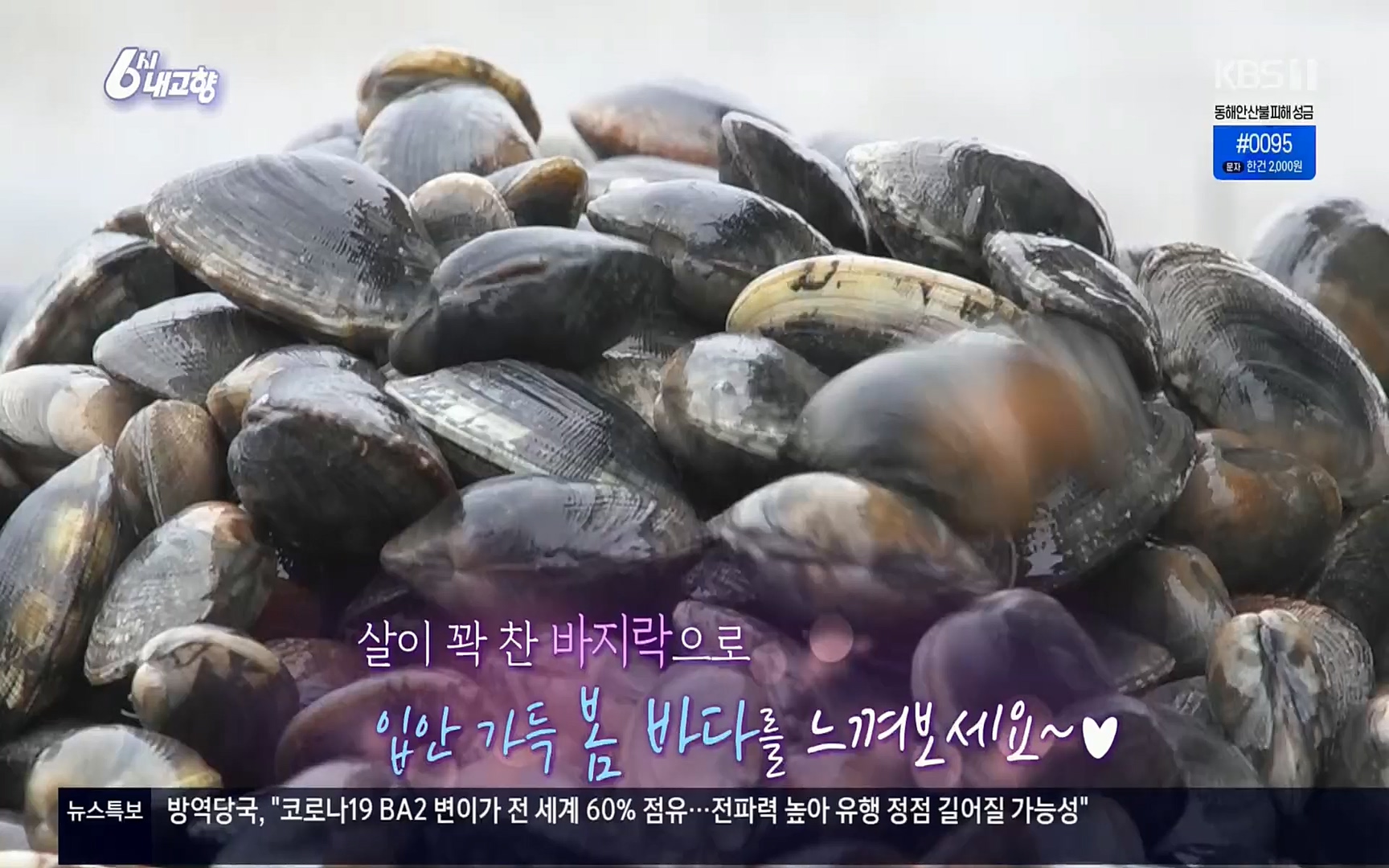 6시 내고향.E7494.220322p.H264-F1RST.mp4_20220326_182128.791.jpg