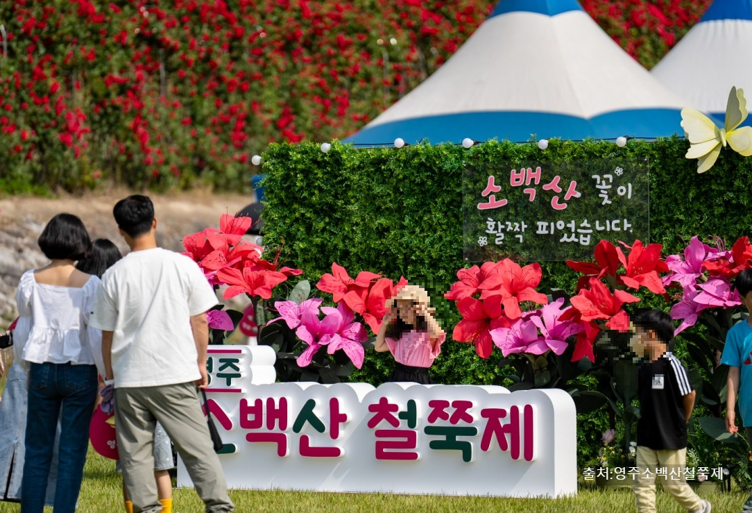 영주 소백산 철쭉제, 키자니아·콘서트·등산코스까지! 초암사·삼가동·희방사 봄꽃 여행