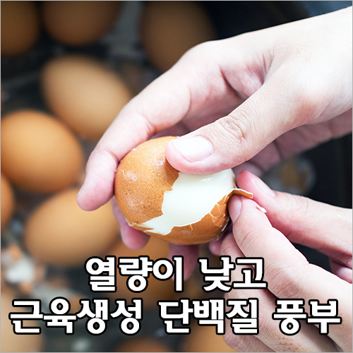 계란은 근육생성에 필요한 단백질이 풍부하다
