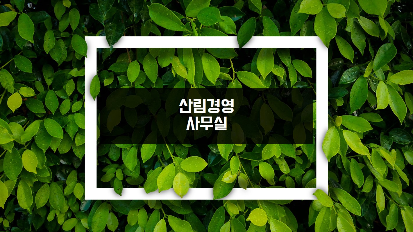 산림경영