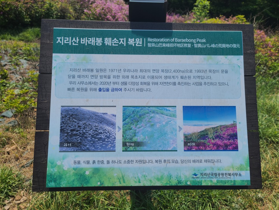 흑약 100대 지리산 바라봉 최단 등산코스 24