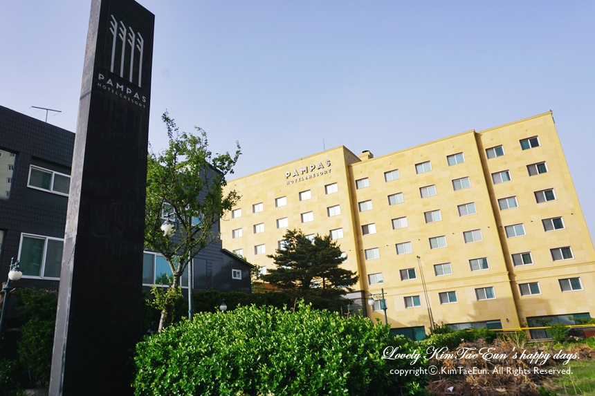 속초 팜파스리조트 강원도 숙소 추천 4