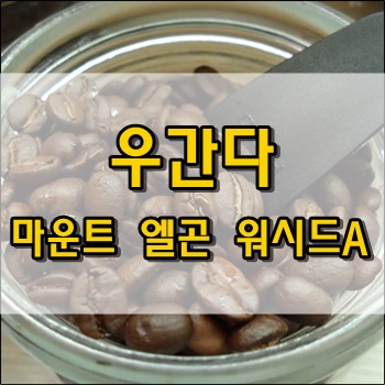  우간다 마운트 엘곤 워시드A 하리오 드립