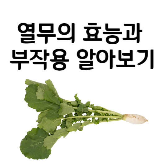 열무의 효능과 부작용