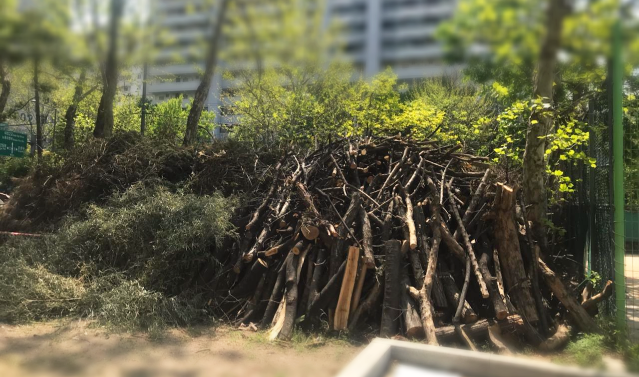  폐목재 활용법[아파트 가지치기/친환경에너지]