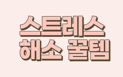  [쿠팡 꿀템 순위 추천] 고함항아리, 집에서 노래부를때 스트레스받아 소리를 지르고 싶을때 사용하세요!!