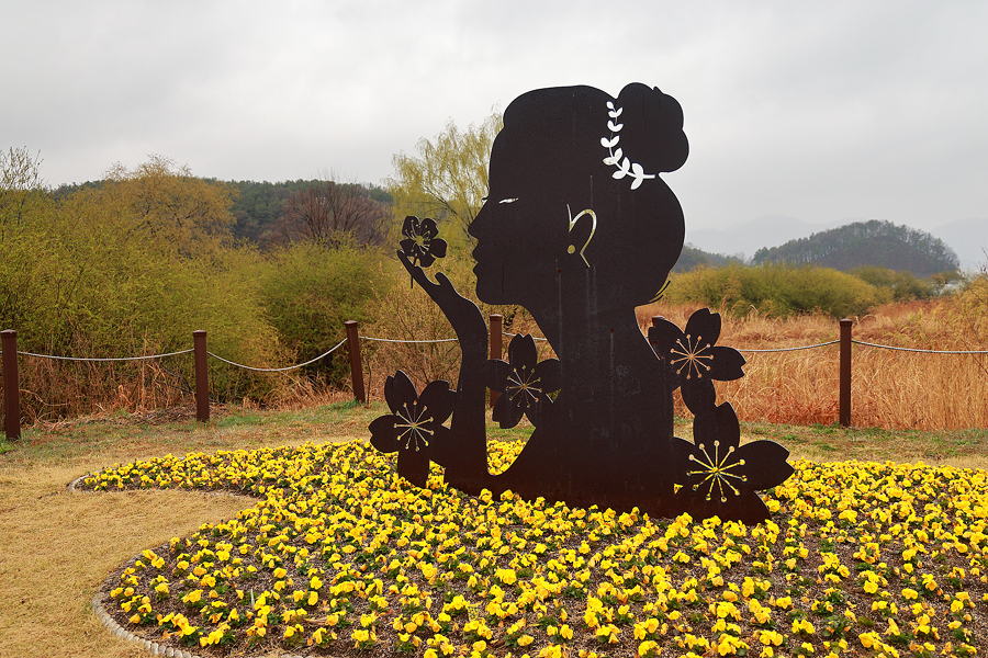 대청호 벚꽃 축제