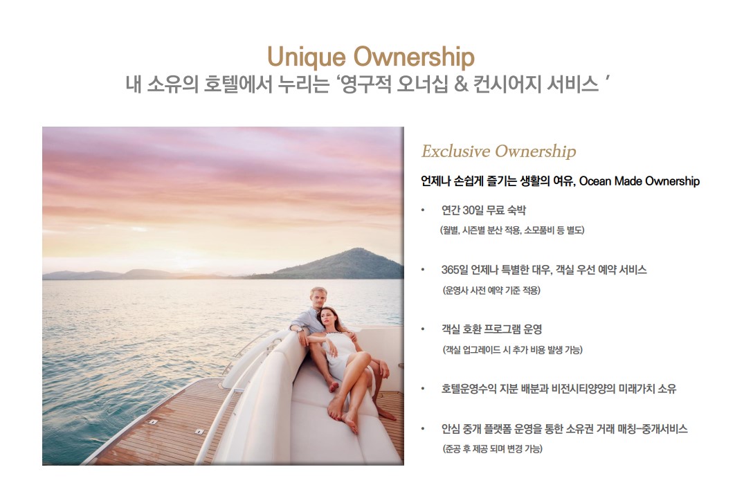 양양트랜드 이미지