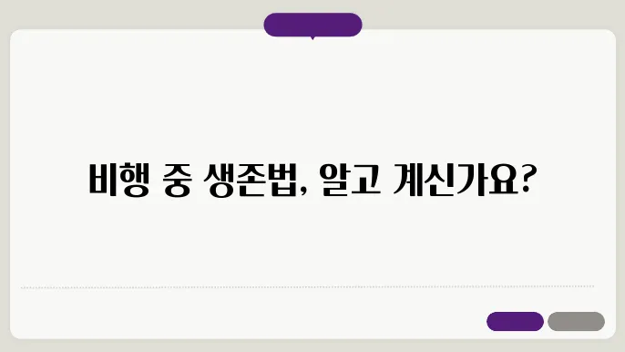 비행 중 주의사항