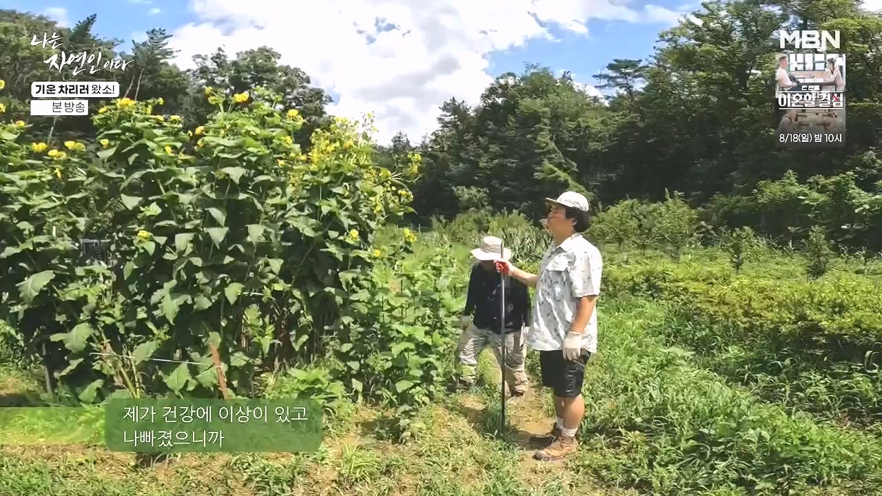 나는 자연인이다.E617.240808p-NEXT.mp4_20240808_195044.799.jpg