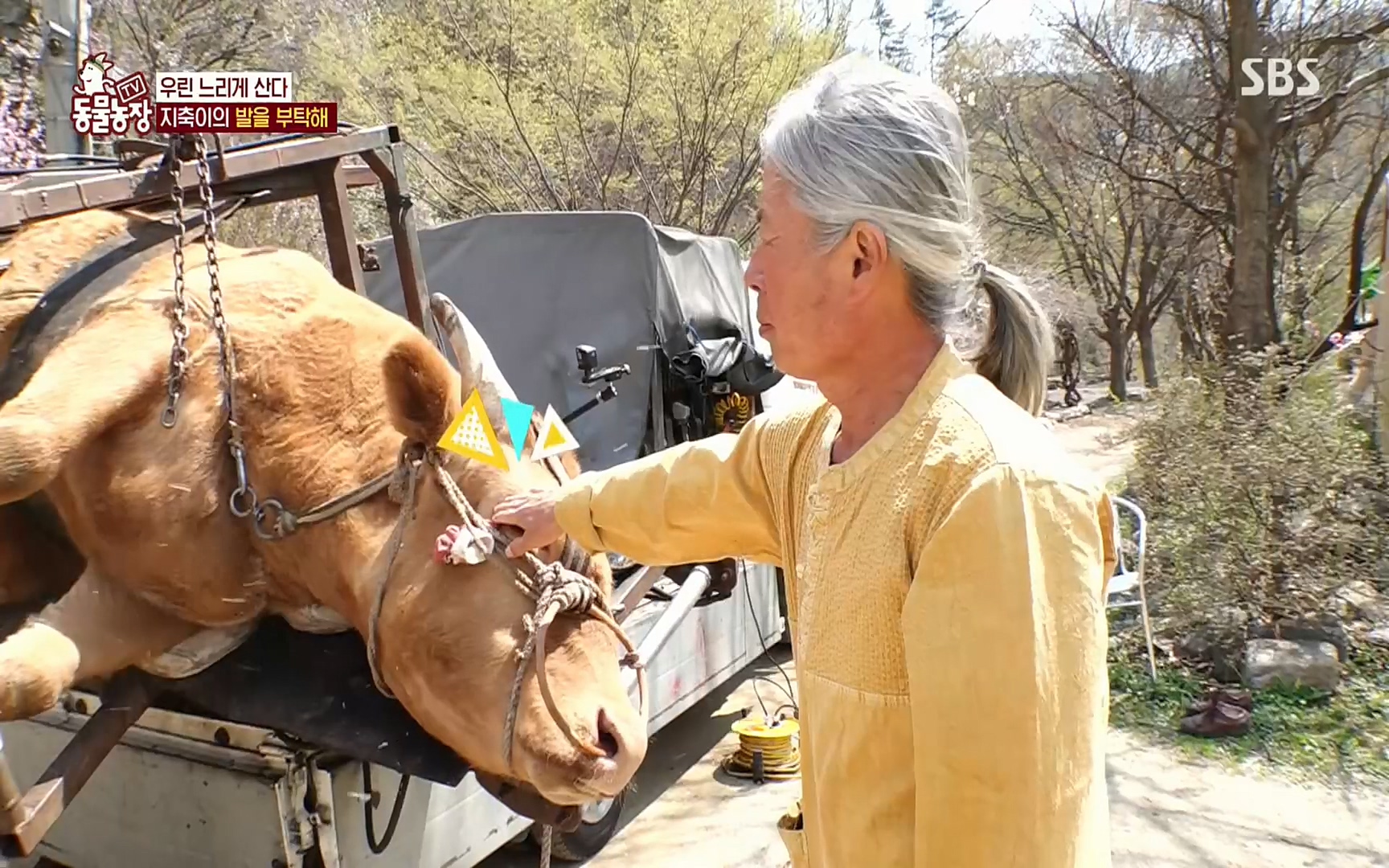 TV 동물농장.E1074.220619p.H264-F1RST.mp4_20220619_181735.123.jpg