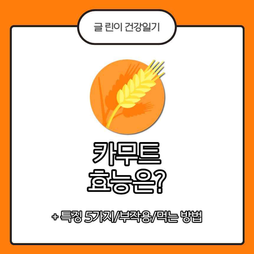  카무트 효능은?
