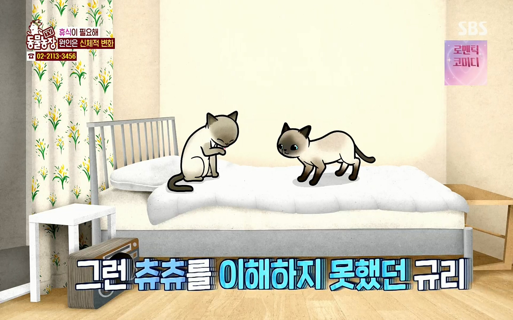 TV 동물농장.E1067.220501p.H264-F1RST.mp4_20220501_183049.707.jpg