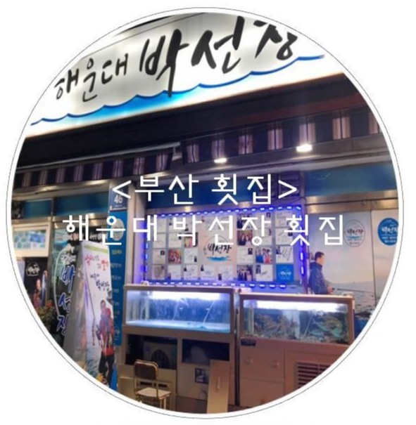 해운대박선장 사진 4