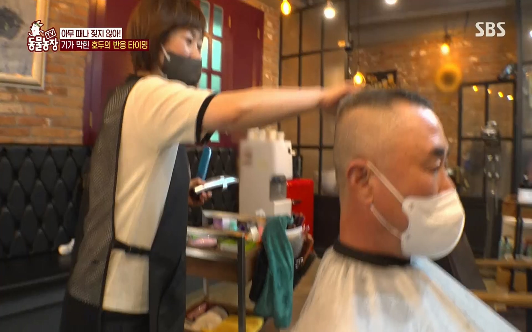 TV 동물농장.E1084.220828p.H264-F1RST.mp4_20220828_154038.993.jpg