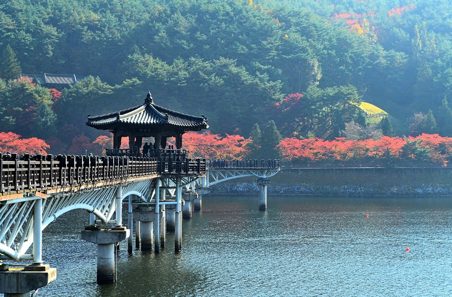 경상도찜닭 이미지