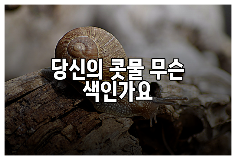 당신의 콧물 무슨 색인가요