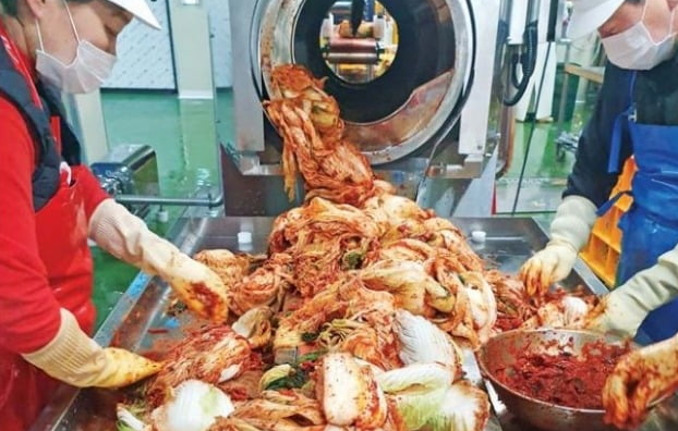 삼성전자, 김치 공장 스마트화로 국위선양중 [김치 생산성 확대/원가절감/수출]