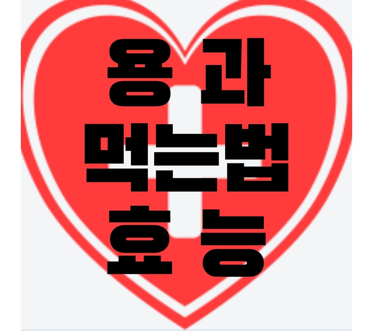 용과-먹는법