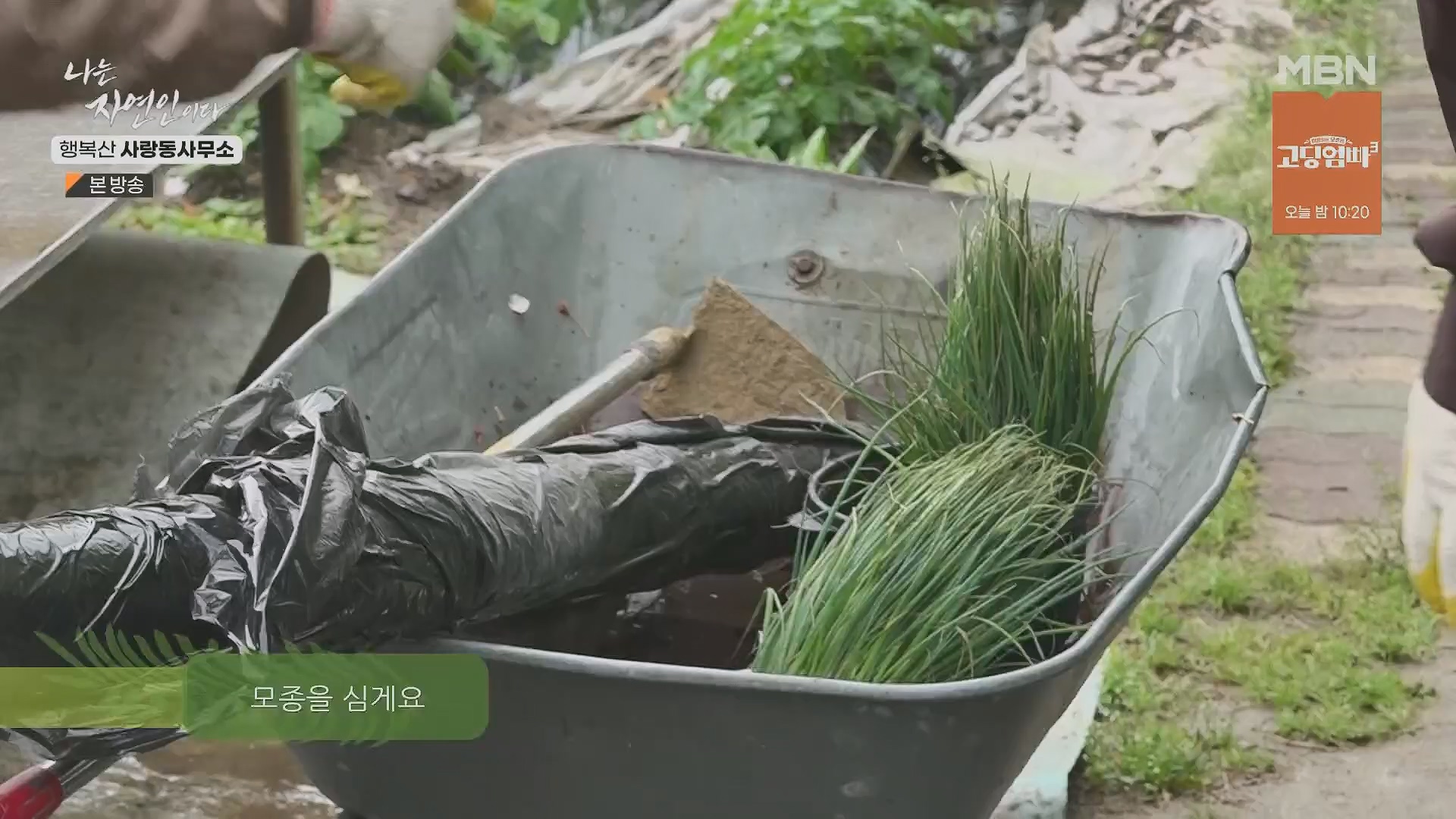 나는 자연인이다.E552.230503p.H264-F1RST.mp4_20230504_200319.479.jpg