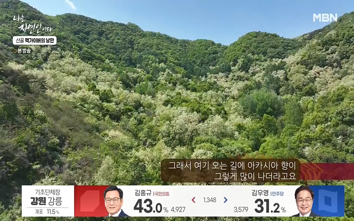 나는 자연인이다.E504.220602p-NEXT.mp4_20220602_201441.041.jpg