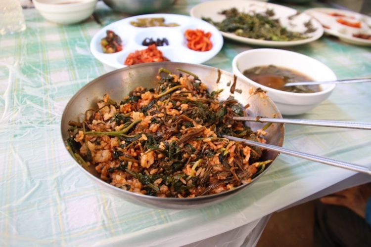 식객 허영만 백반기행 169회 표창원 편 주인장이 직접 캔 7가지 나물로 만든 산채비빔밥 강원 화천 비수구미 마을 맛집 소개