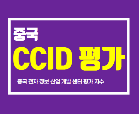 중국 CCID 평가지수