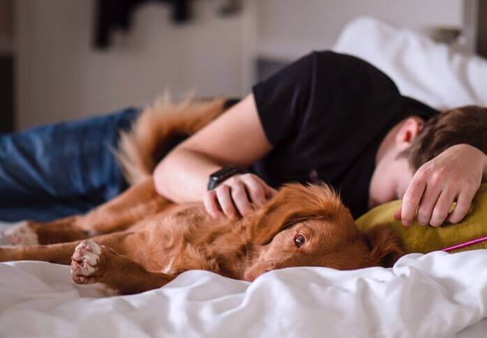 침대 위에 누런 털의 강아지와 함께 피곤한 듯 누워있는 한 남자의 모습