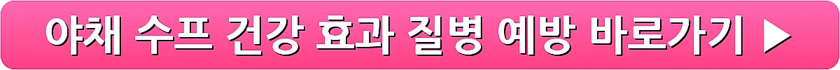 야채 수프 건강 효과 질병 예방_9