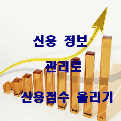  개인 신용정보 관리