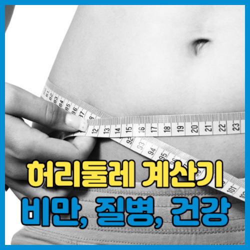 허리둘레 계산기