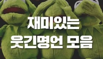 웃긴 명언 모음 웃긴 술명언 100선_6