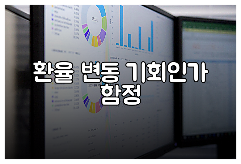 환율 변동 기회인가 함정