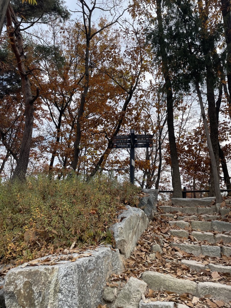 인수재 가는 길
