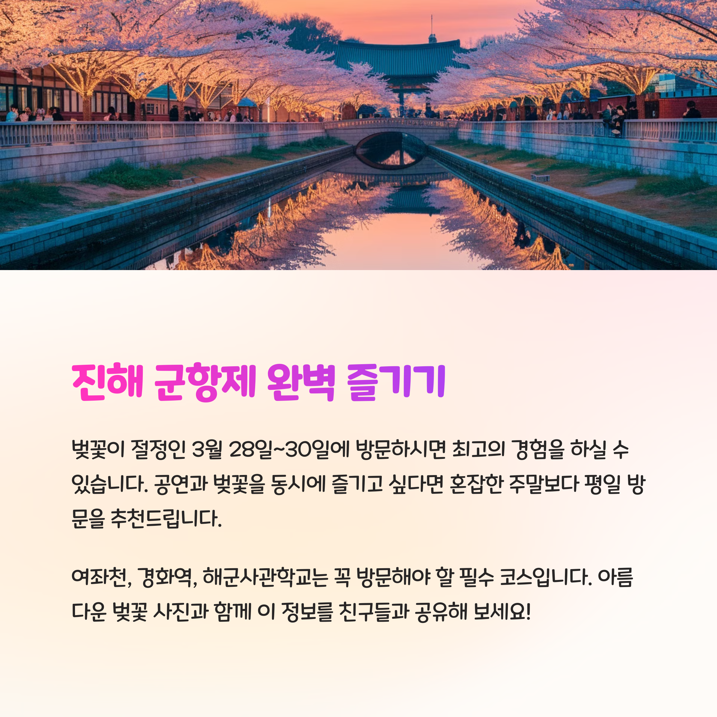 벚꽃, 지금이 딱 좋아 🌸
2025 진해군항제 일정&포인트 총정리!