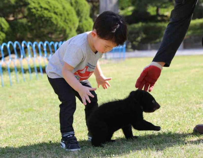 베어트리파크 철쭉제 봄과 철쭉