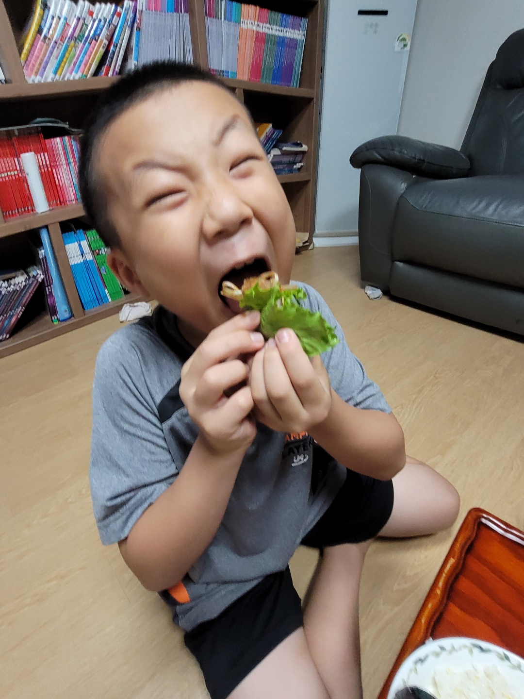 바로돼지 이미지