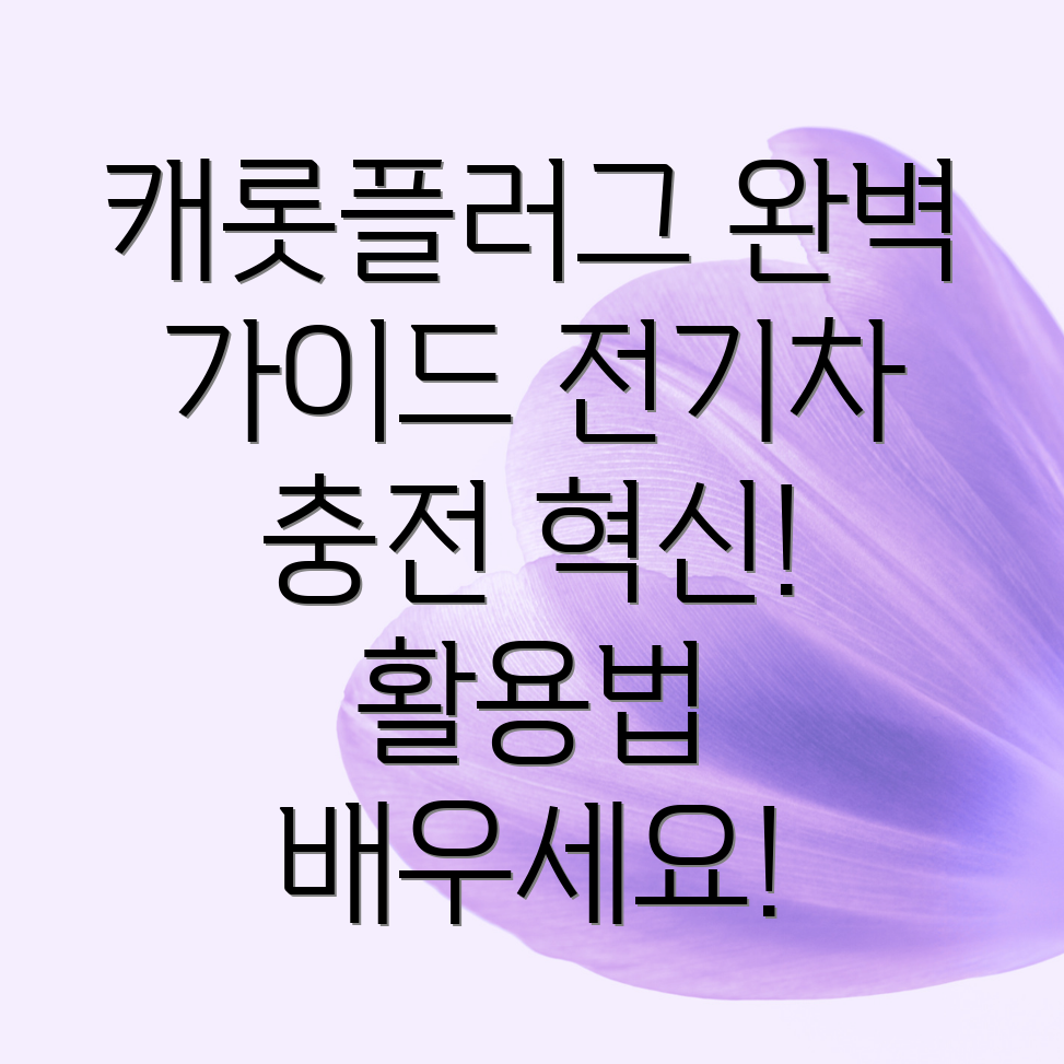 캐롯플러그