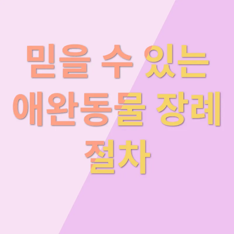 반려동물 장례와 소중한 이별_3